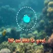 Bubble Fish Sea Adventure Game