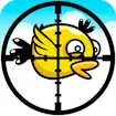 Duck Hunter