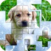 PicPu Dog