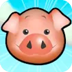 Piggy Roll