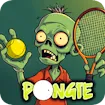 Pongie
