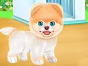 PRINCESS PUPPY CARING