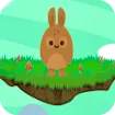 Rabbit Jump