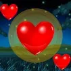Save The Heart