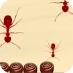 Smash All Ants