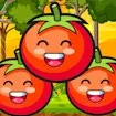 Tomato Ketchup